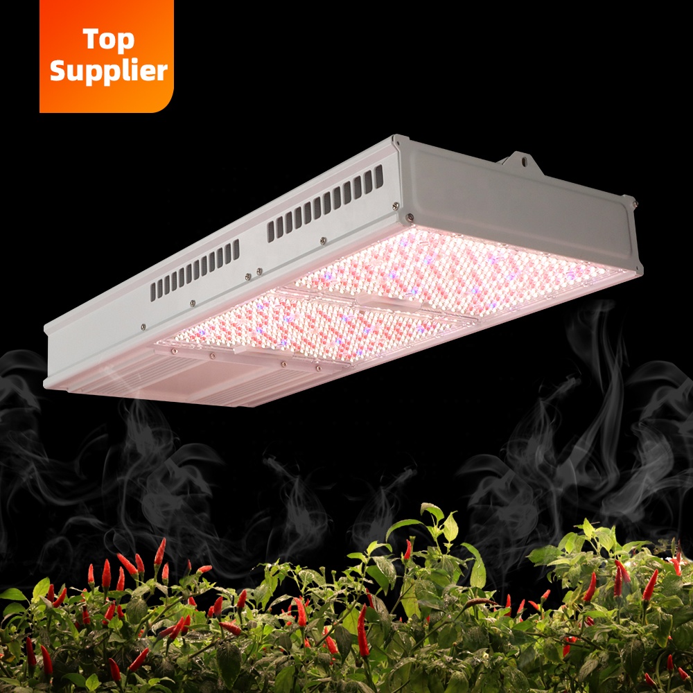 Grow Light Led - Uygun Maliyetli 600W 800W Toplight Tam
