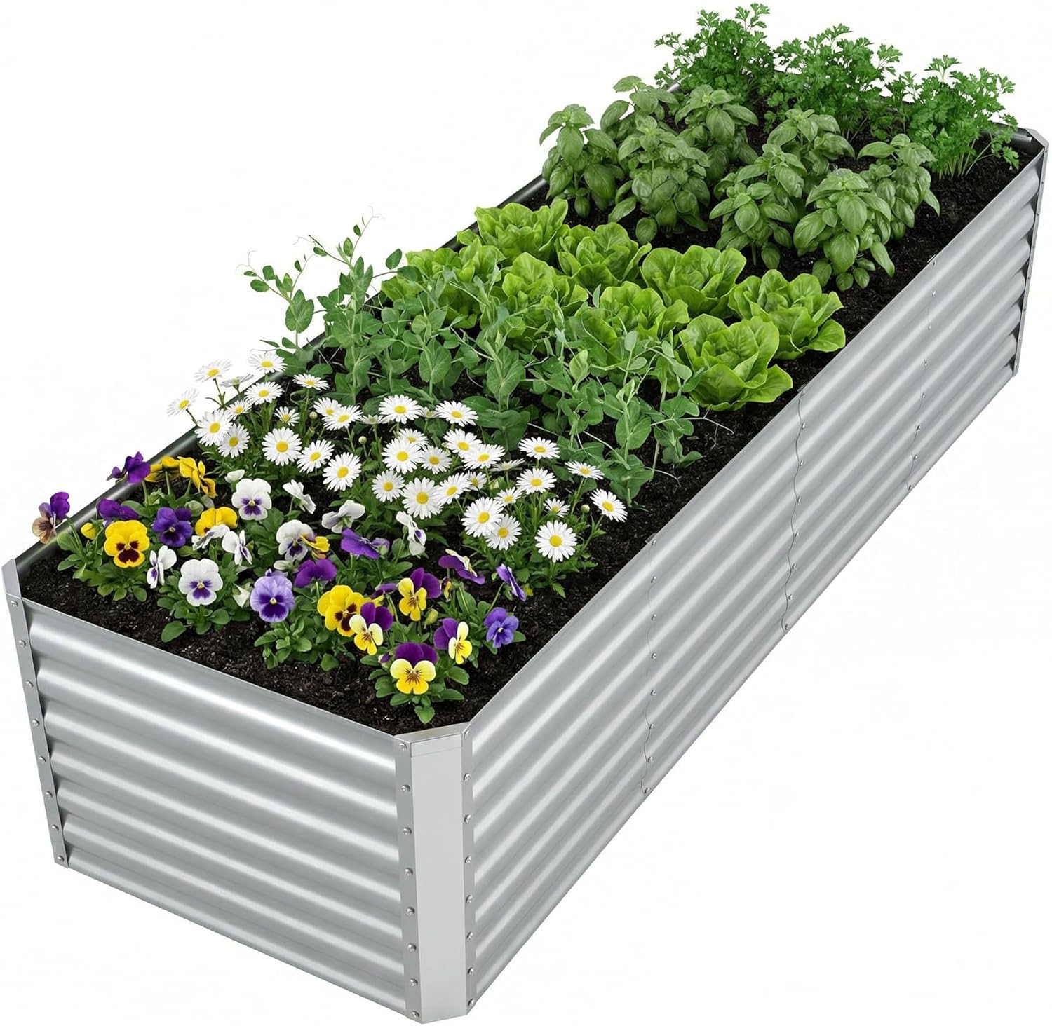 Raised Garden Bed - Bahçe Sebzeleri ve Çiçekler İçin Dış