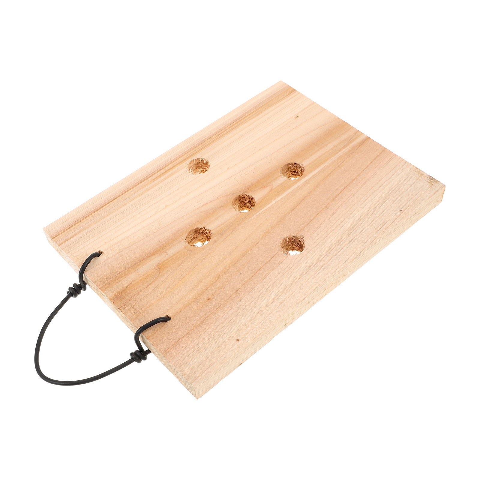 Vertical Planter - Masif Ahşap Duvar Saksı Paneli, Eğrelti