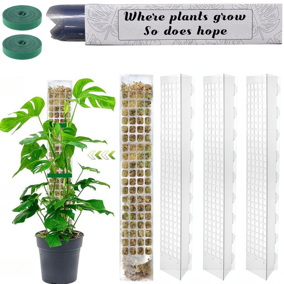 Indoor Herb Garden - Yosun Direği Plastik Bitki Standı Kapalı