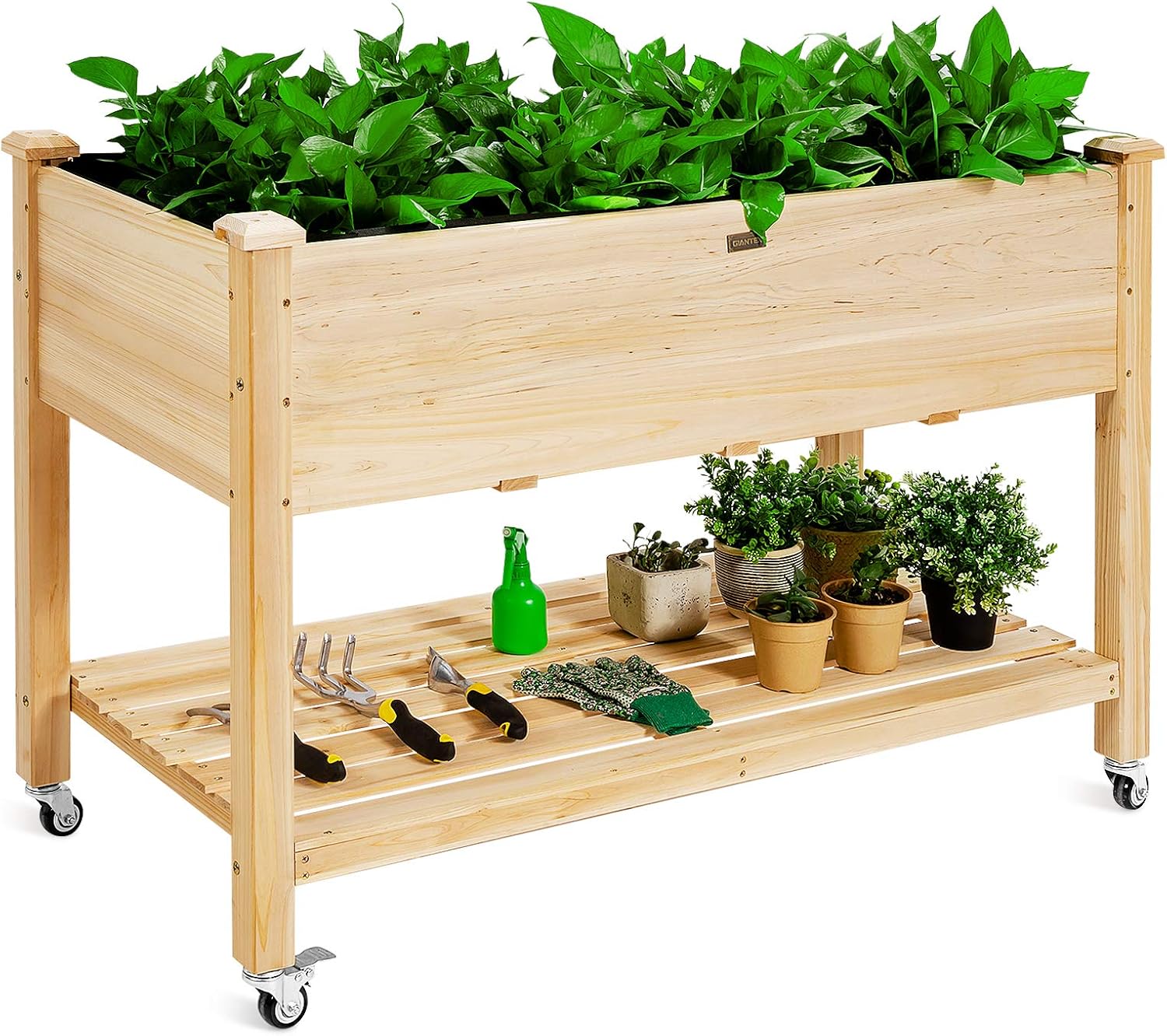 Raised Garden Bed - Ahşap Tekerlekli Yükseltilmiş Bahçe Yatağı, Arka