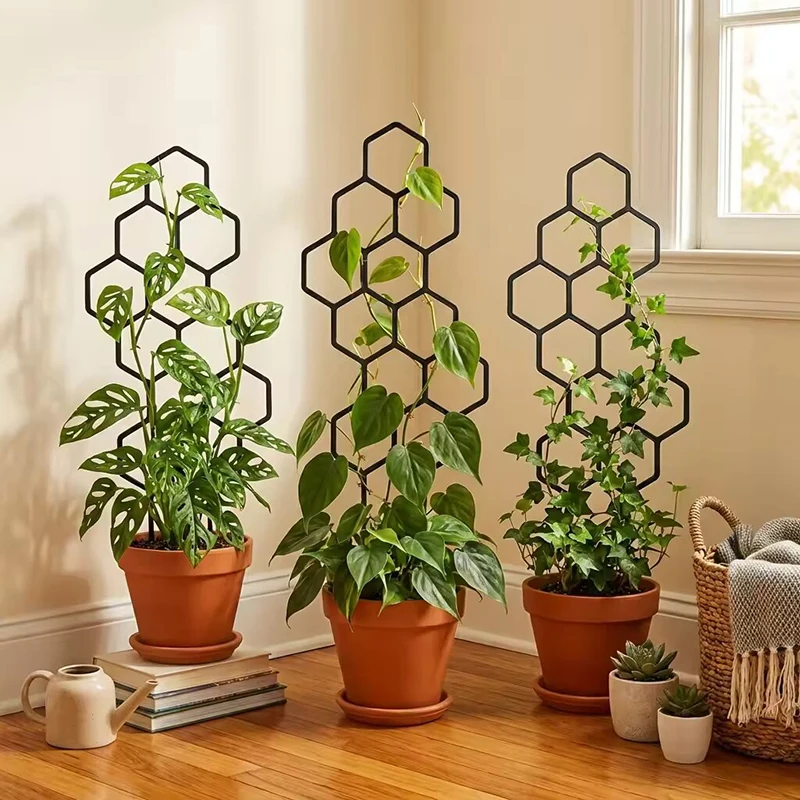 Indoor Herb Garden - 2/4 adet Petek Tasarımlı Bitki Çardağı,
