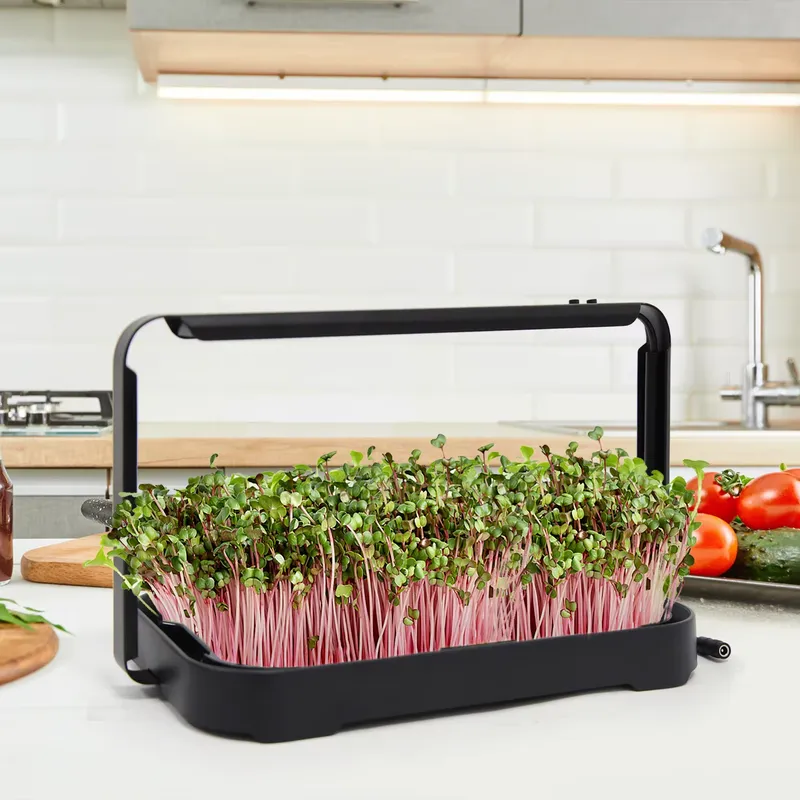 Hydroponic Kit - Hidroponik Tepsi İç Mekan Mikro Yeşillik
