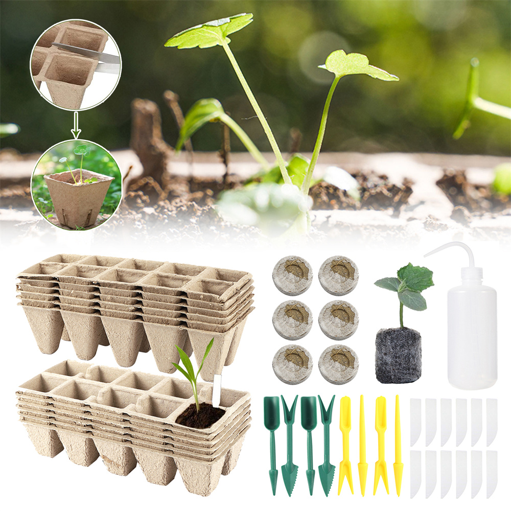 Seed Starter Tray - Organik Biyobozunur Kreş Kutusu Seti Tohum