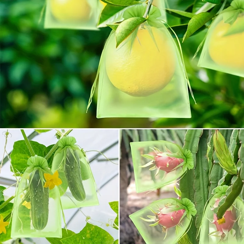 100 Adet Yeşil Fermuarlı Koruy - Grow Bag incelemesi ve fiyatı