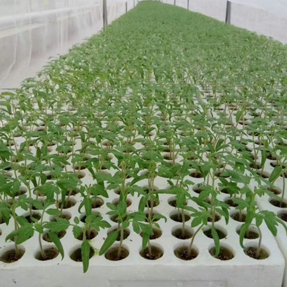 40 Adet Topraksız Yetiştirme K - Hydroponic Kit incelemesi ve fiyatı