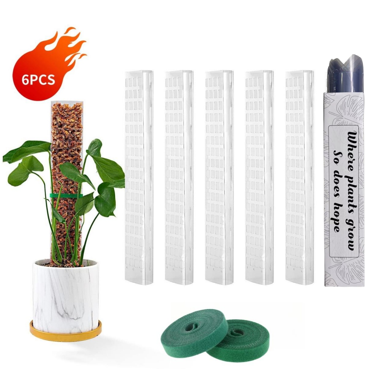 Yosun Direkleri Bitkiler Bitki - Indoor Herb Garden incelemesi ve fiyatı