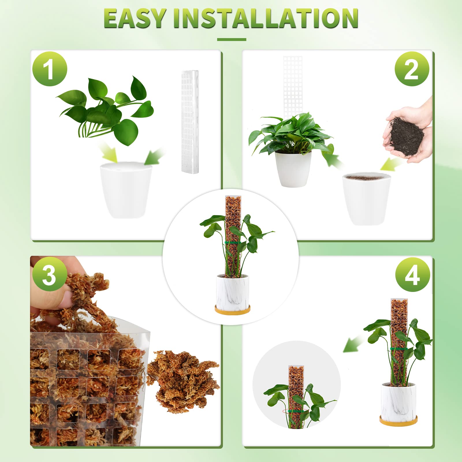Yosun Direkleri Bitkiler Bitki - Indoor Herb Garden incelemesi ve fiyatı