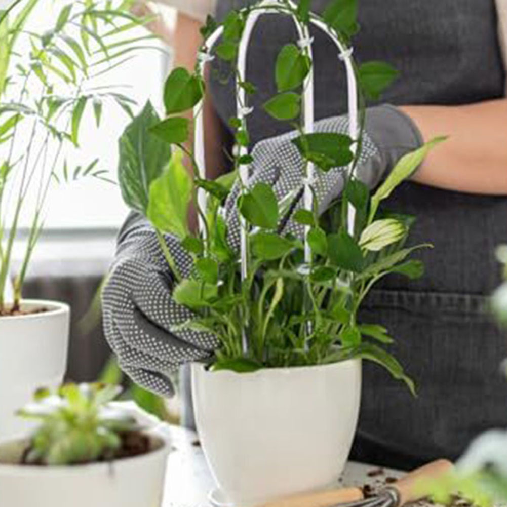 2 adet Akrilik U şeklinde Bitk - Indoor Herb Garden incelemesi ve fiyatı