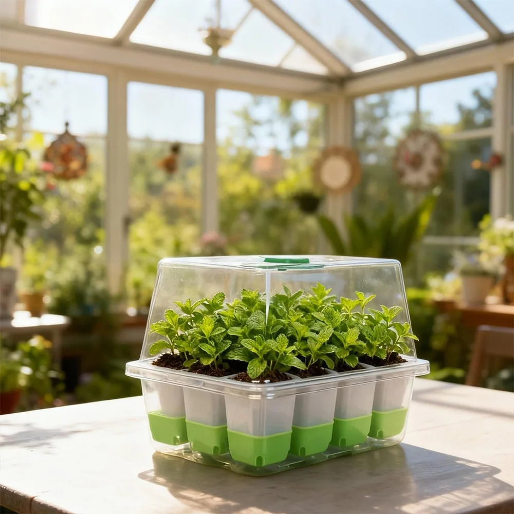 Şeffaf Kapaklı ve Ayarlanabili - Seed Starter Tray incelemesi ve fiyatı
