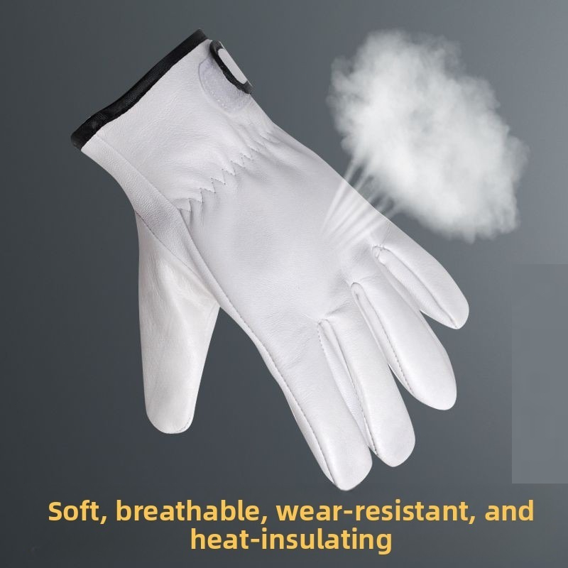 bir çift İş Eldiveni Koyun Der - Garden Gloves incelemesi ve fiyatı