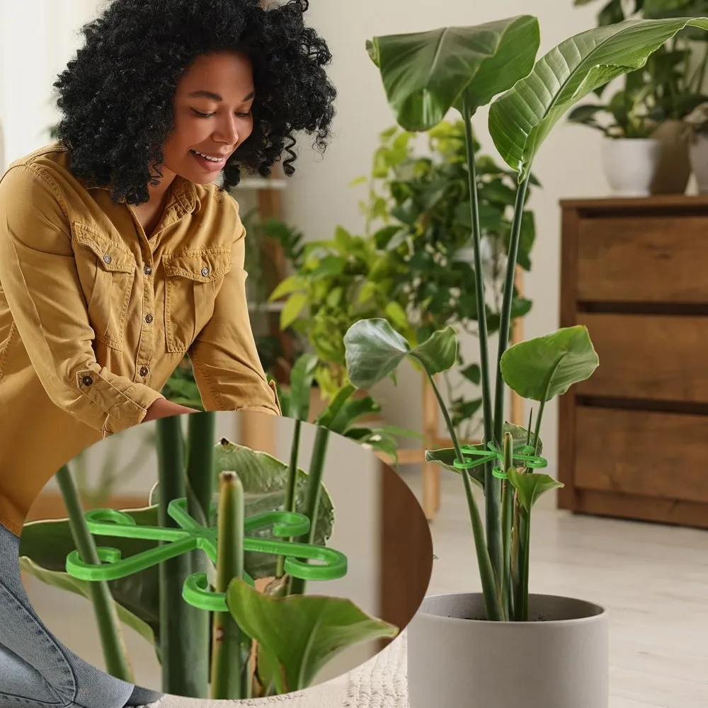 Çiçek Bitki Kök Destek Kazıkla - Indoor Herb Garden incelemesi ve fiyatı