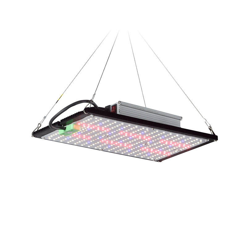 LED Kuantum Panel Bitki Yetişt - Grow Light Led incelemesi ve fiyatı