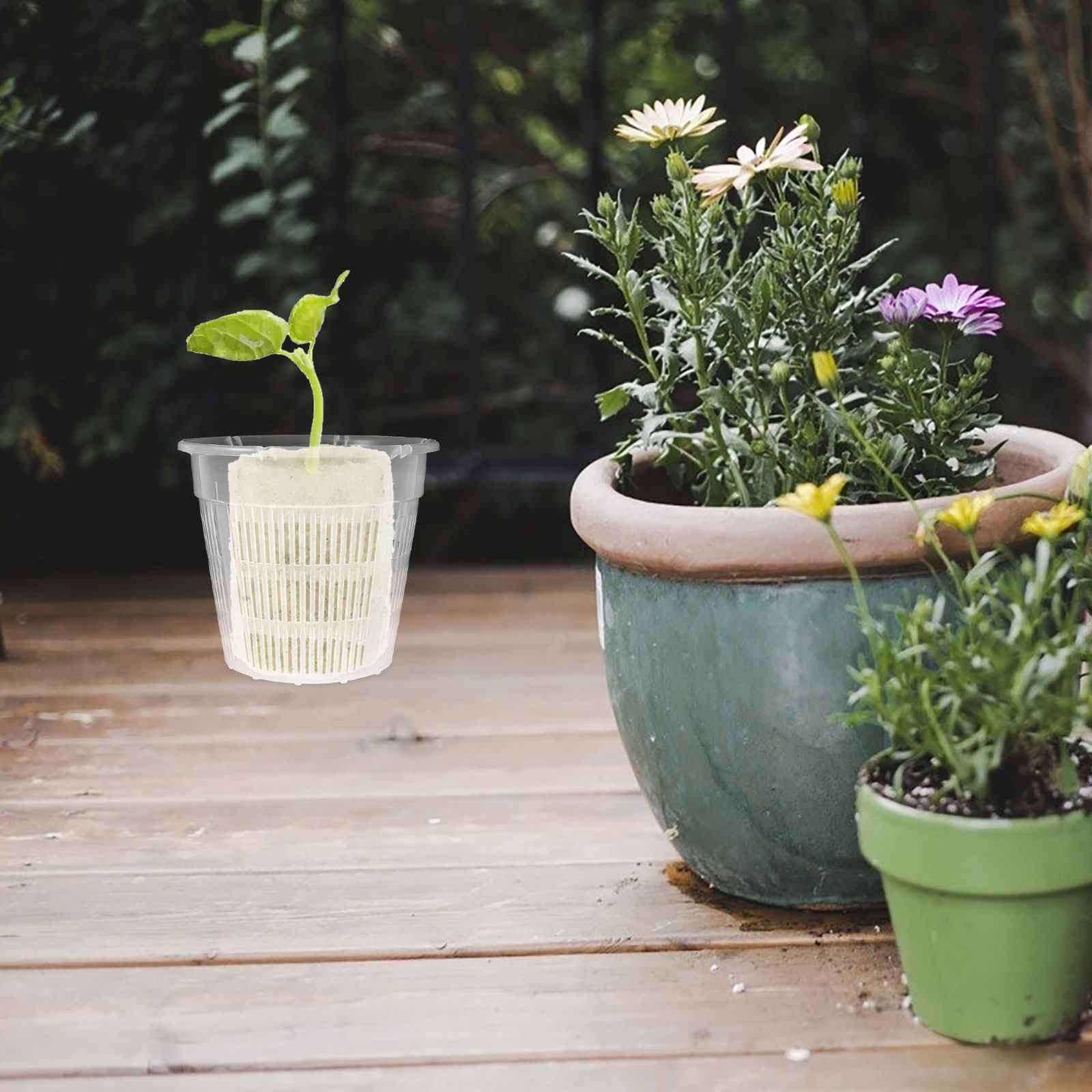 4 Adet Hidroponik Bitki Sepeti - Plant Pot incelemesi ve fiyatı