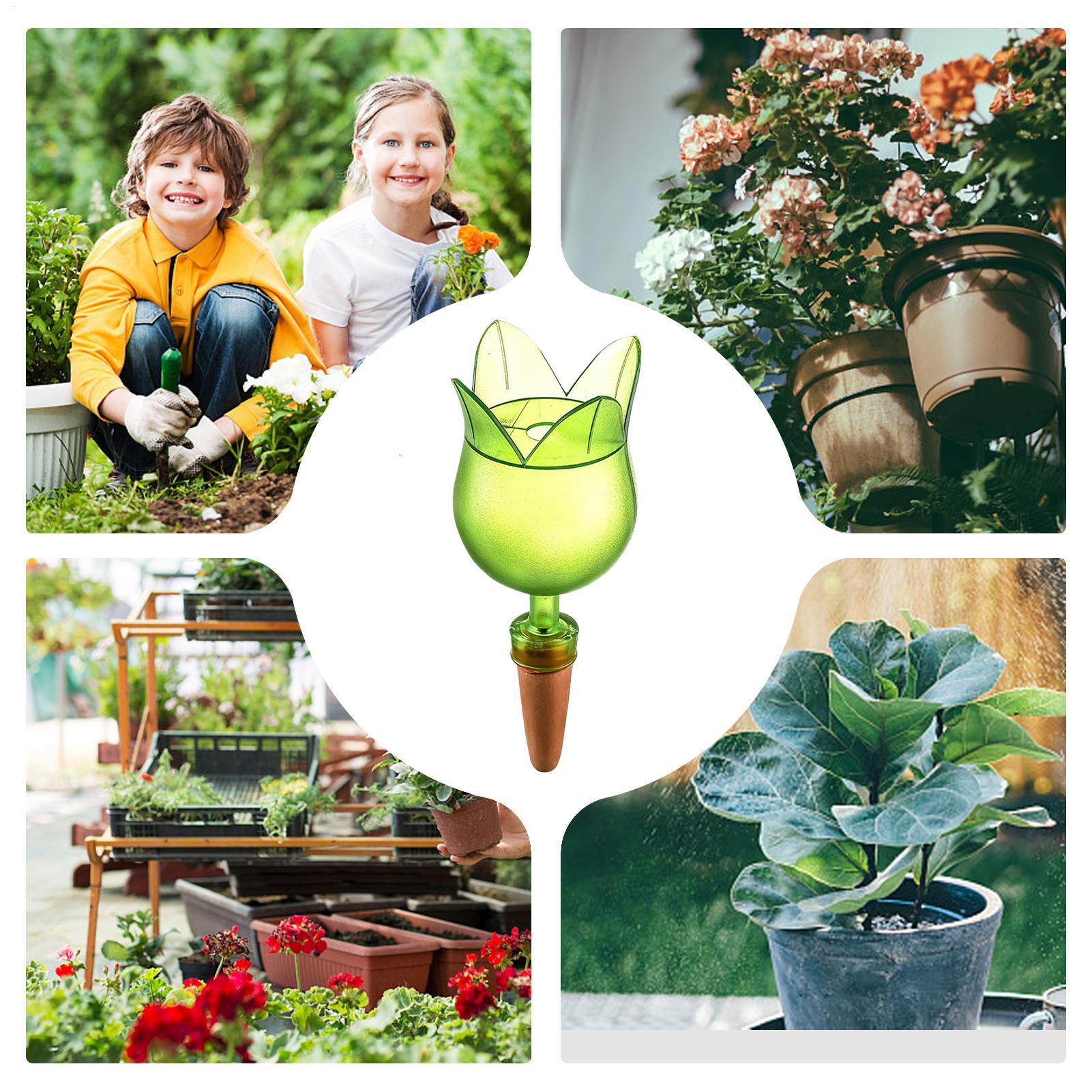 Bitki Kendi Kendine Sulama Cih - Self Watering Planter incelemesi ve fiyatı
