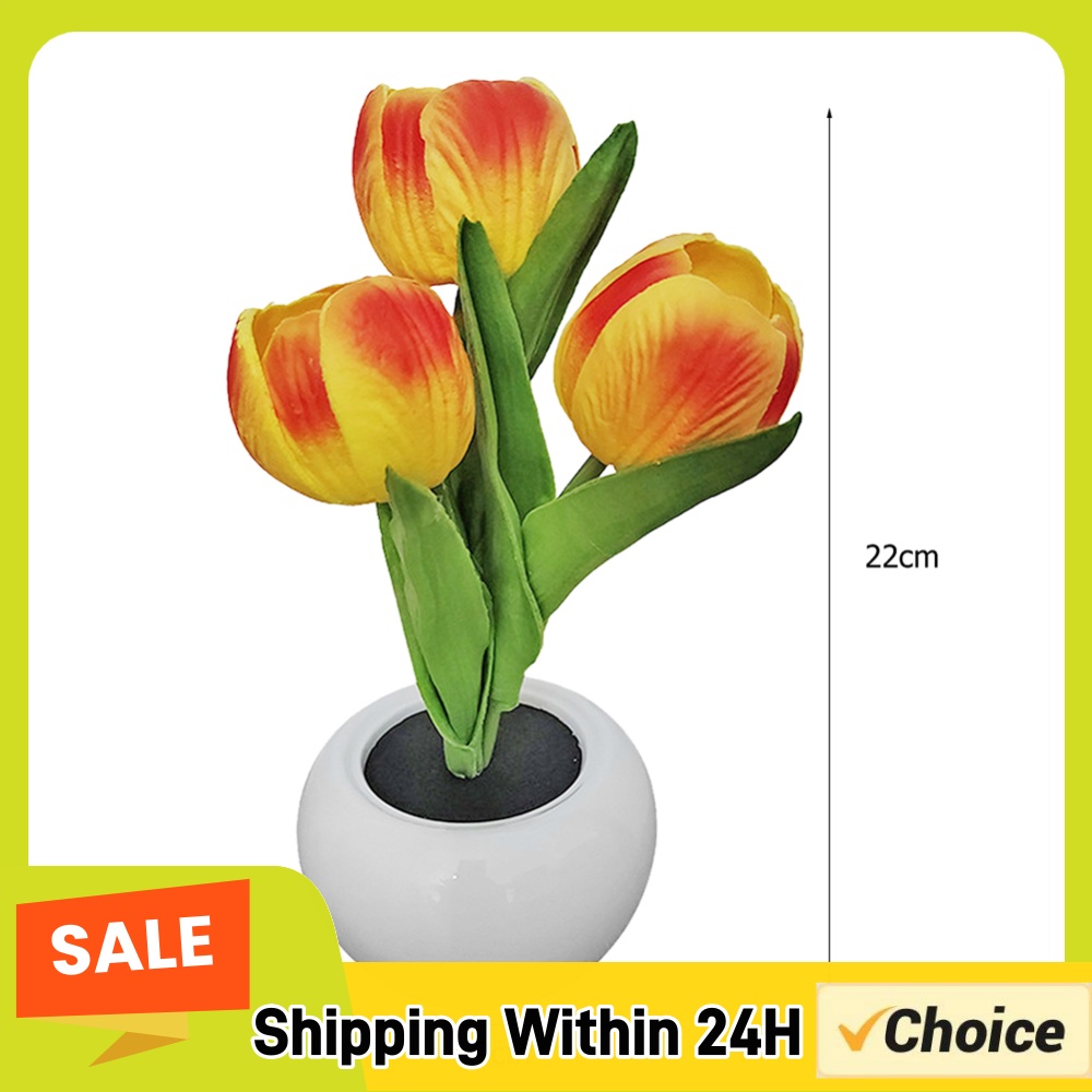 9x22 cm boyutlarında, saksılı  - Plant Pot incelemesi ve fiyatı