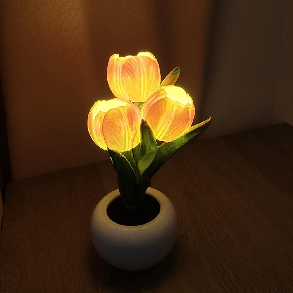 9x22 cm boyutlarında, saksılı  - Plant Pot incelemesi ve fiyatı