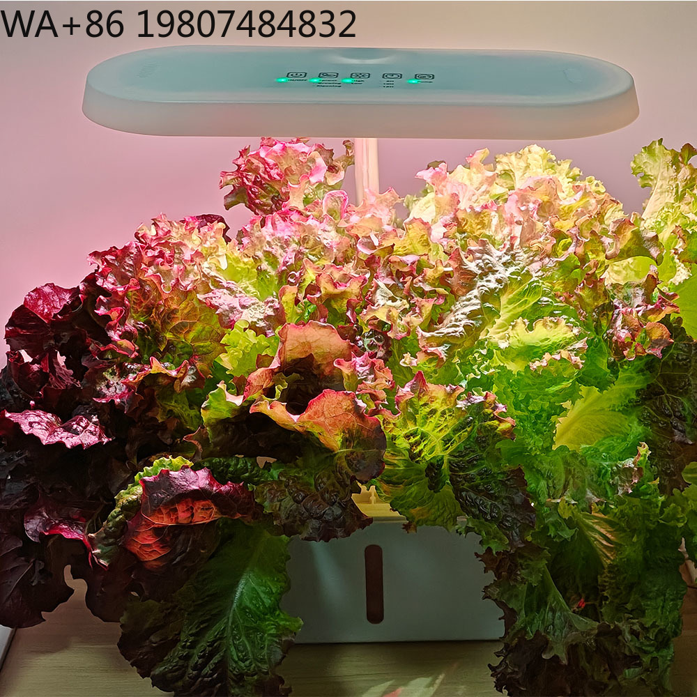 8 Delikli Sessiz Sirkülasyonlu - Hydroponic Kit incelemesi ve fiyatı