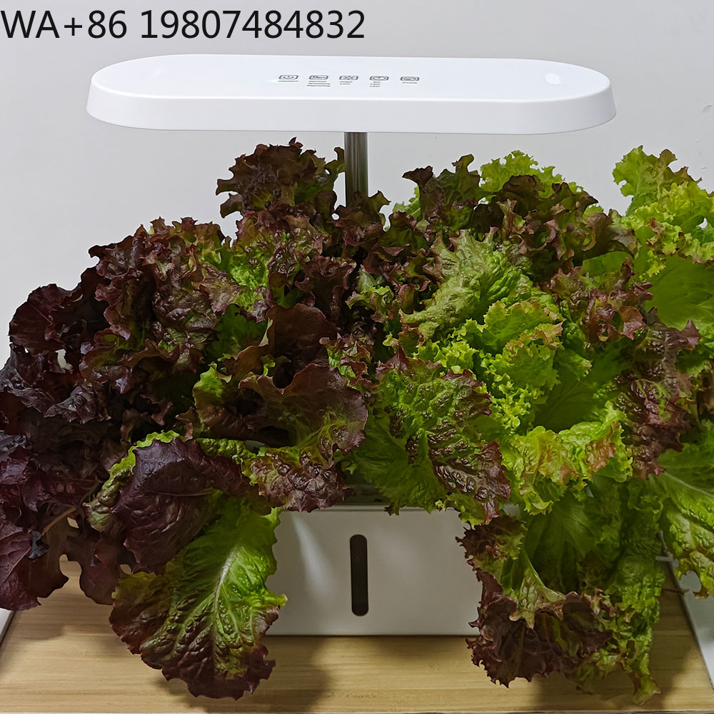 8 Delikli Sessiz Sirkülasyonlu - Hydroponic Kit incelemesi ve fiyatı