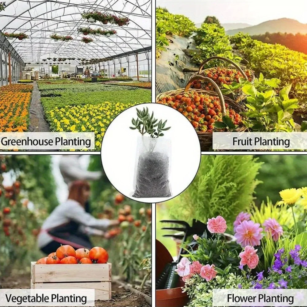 100 adet Biyobozunur Tohum Kre - Seed Starter Tray incelemesi ve fiyatı