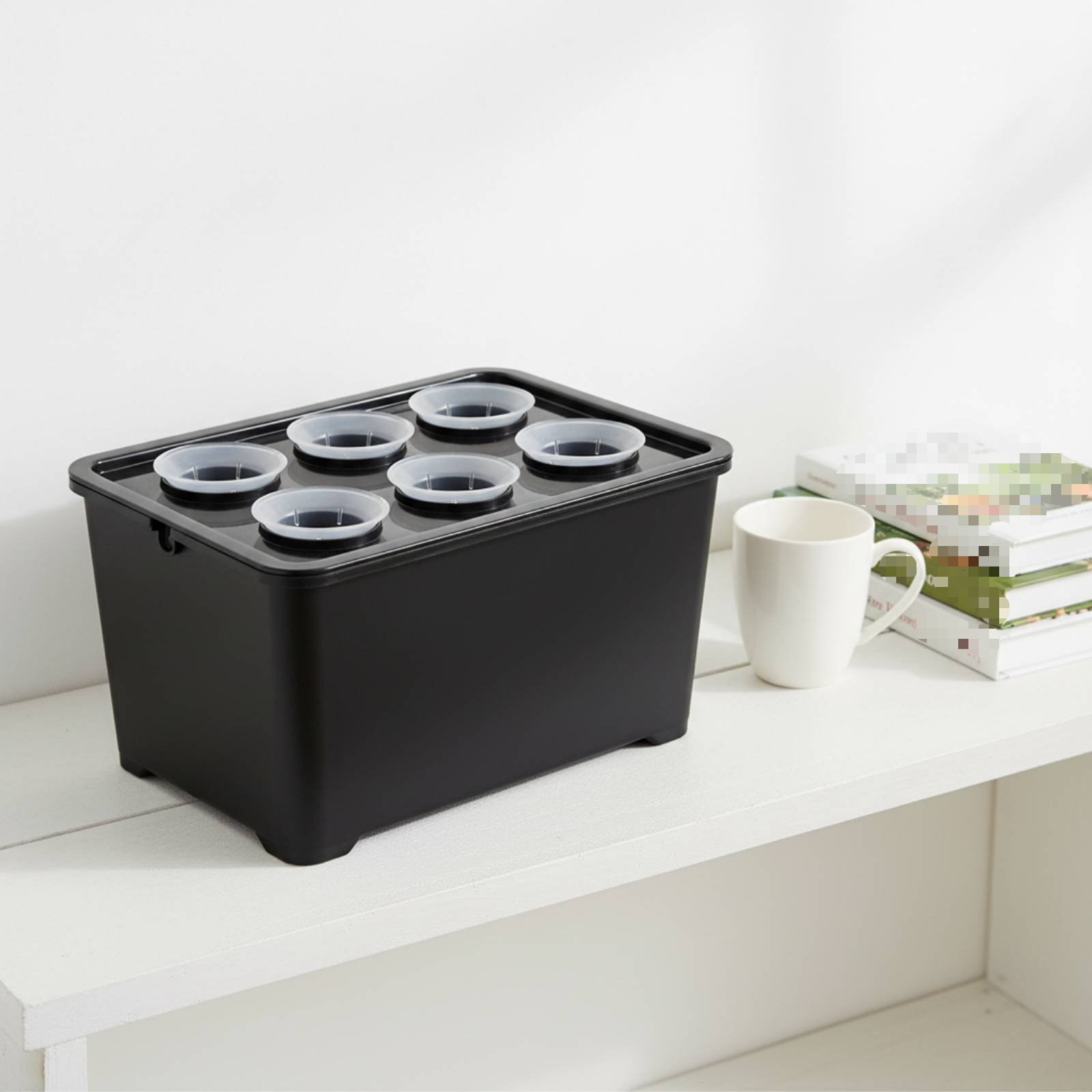 Hidroponik Dikim Kutusu Güneş  - Hydroponic Kit incelemesi ve fiyatı