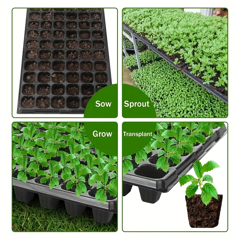 10-20'lik fidanlık tepsisi, se - Seed Starter Tray incelemesi ve fiyatı