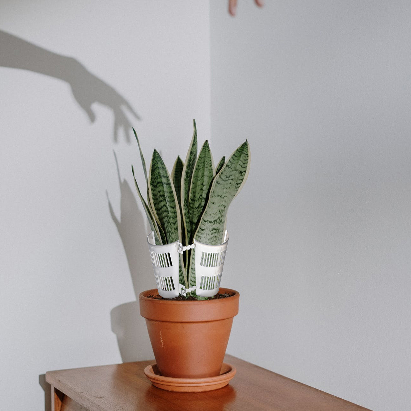 10 Adet Kök Kontrollü Saksı, Ş - Plant Pot incelemesi ve fiyatı