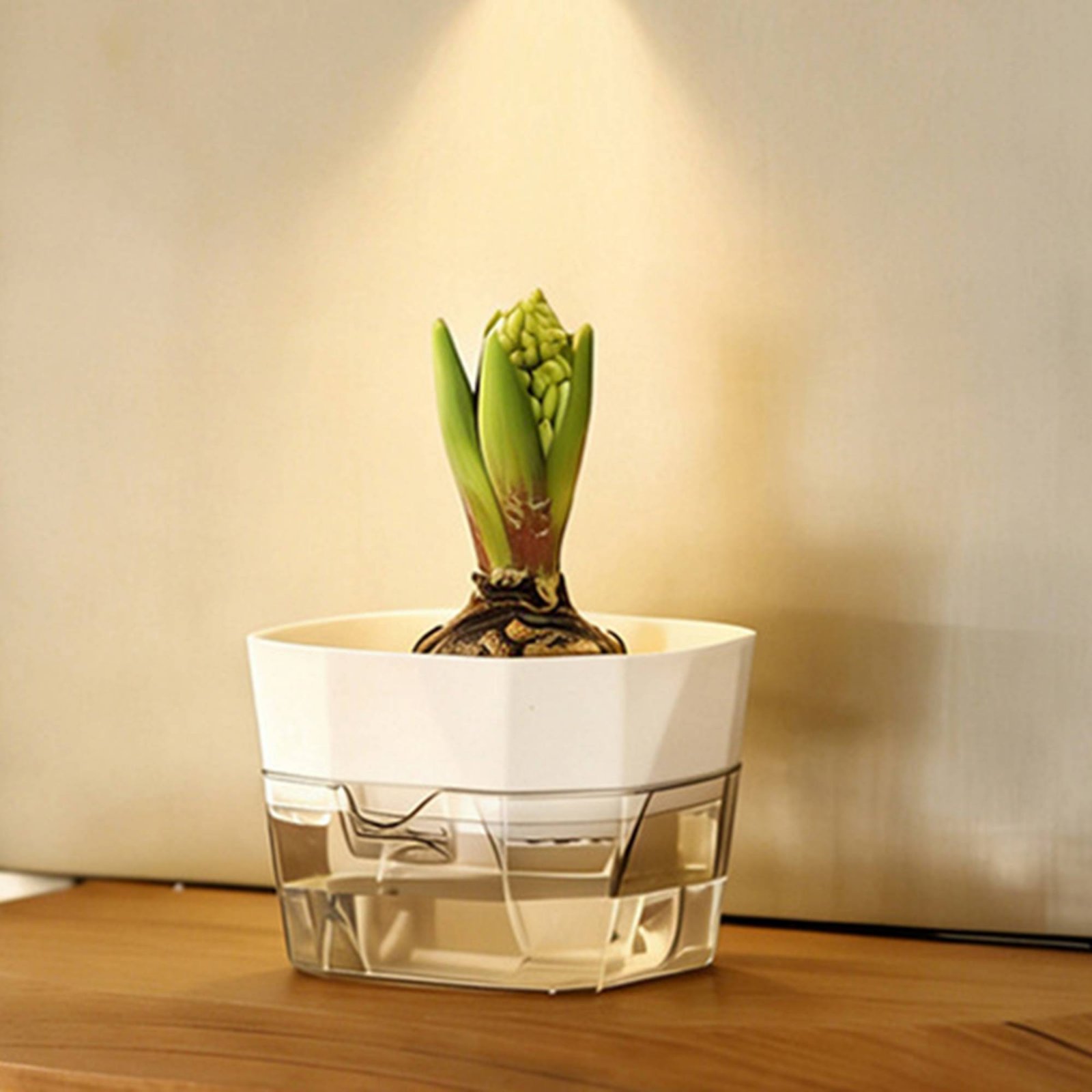 Hidroponik Ampul Vazo 2 Katman - Plant Pot incelemesi ve fiyatı