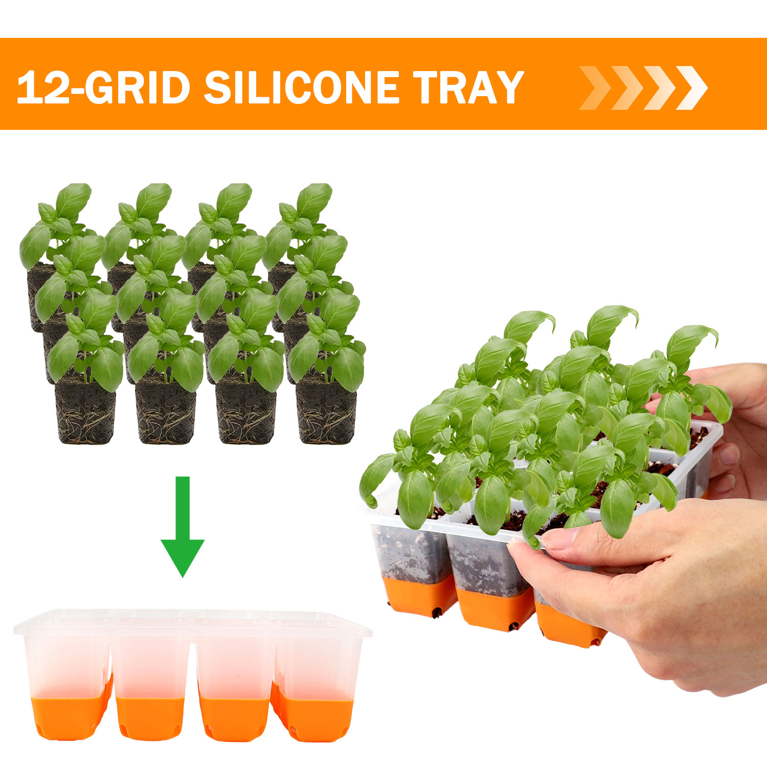 5/10 Portakal Tohumu Başlangıç - Seed Starter Tray incelemesi ve fiyatı