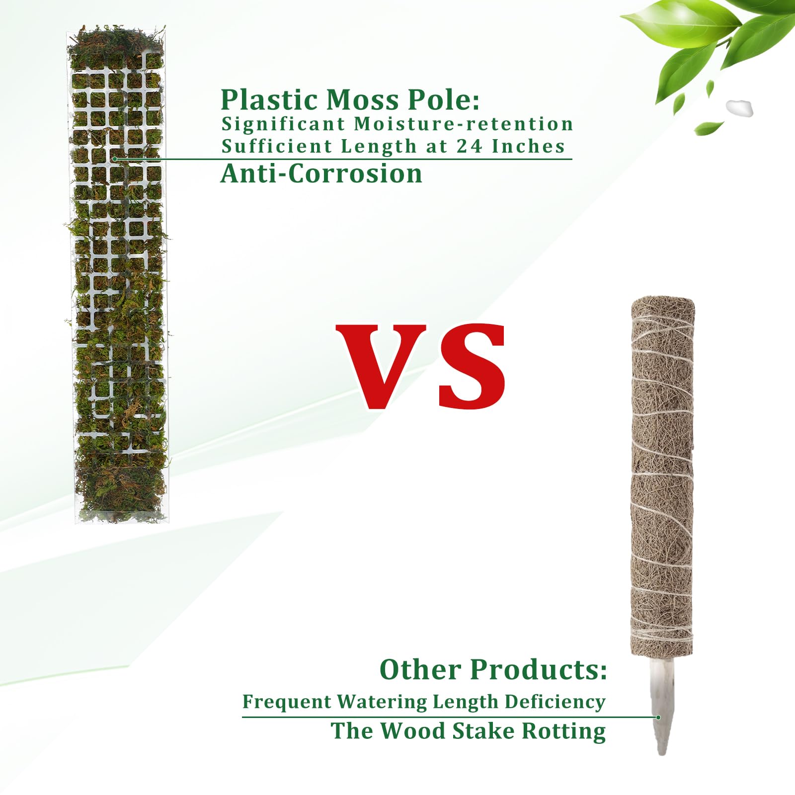 Yosun Direği Plastik Bitki Sta - Indoor Herb Garden incelemesi ve fiyatı