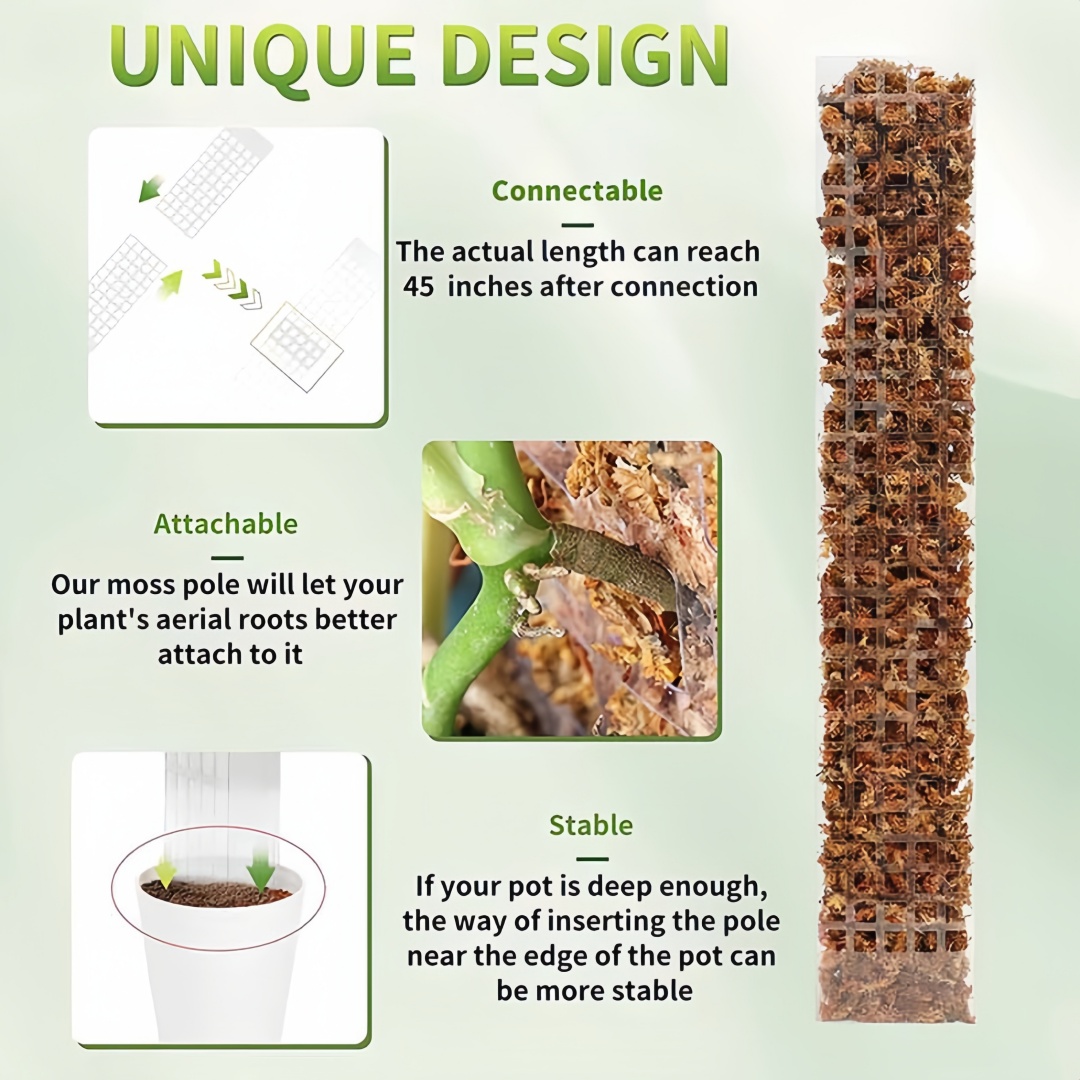 Yosun Direği Plastik Bitki Sta - Indoor Herb Garden incelemesi ve fiyatı