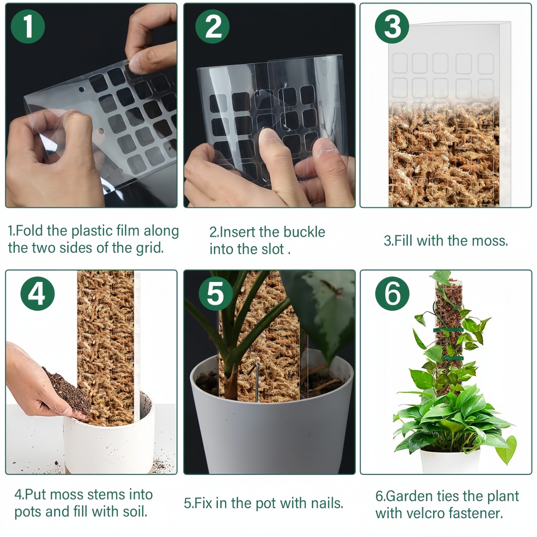 Yosun Direği Plastik Bitki Sta - Indoor Herb Garden incelemesi ve fiyatı