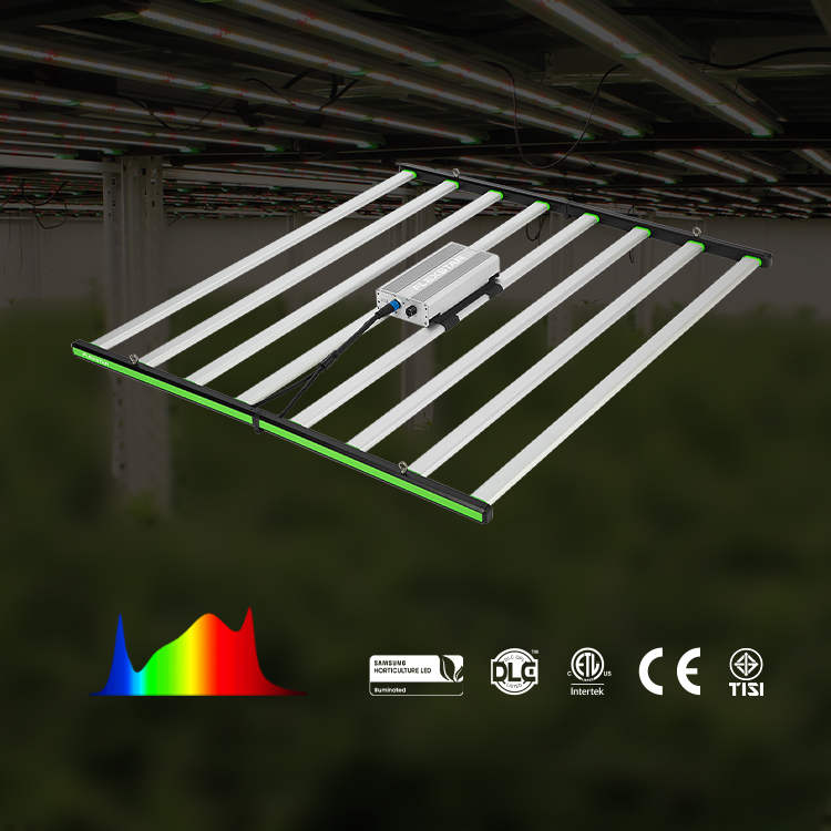 Lm301h Evo 281b Tam Spektrumlu - Grow Light Led incelemesi ve fiyatı