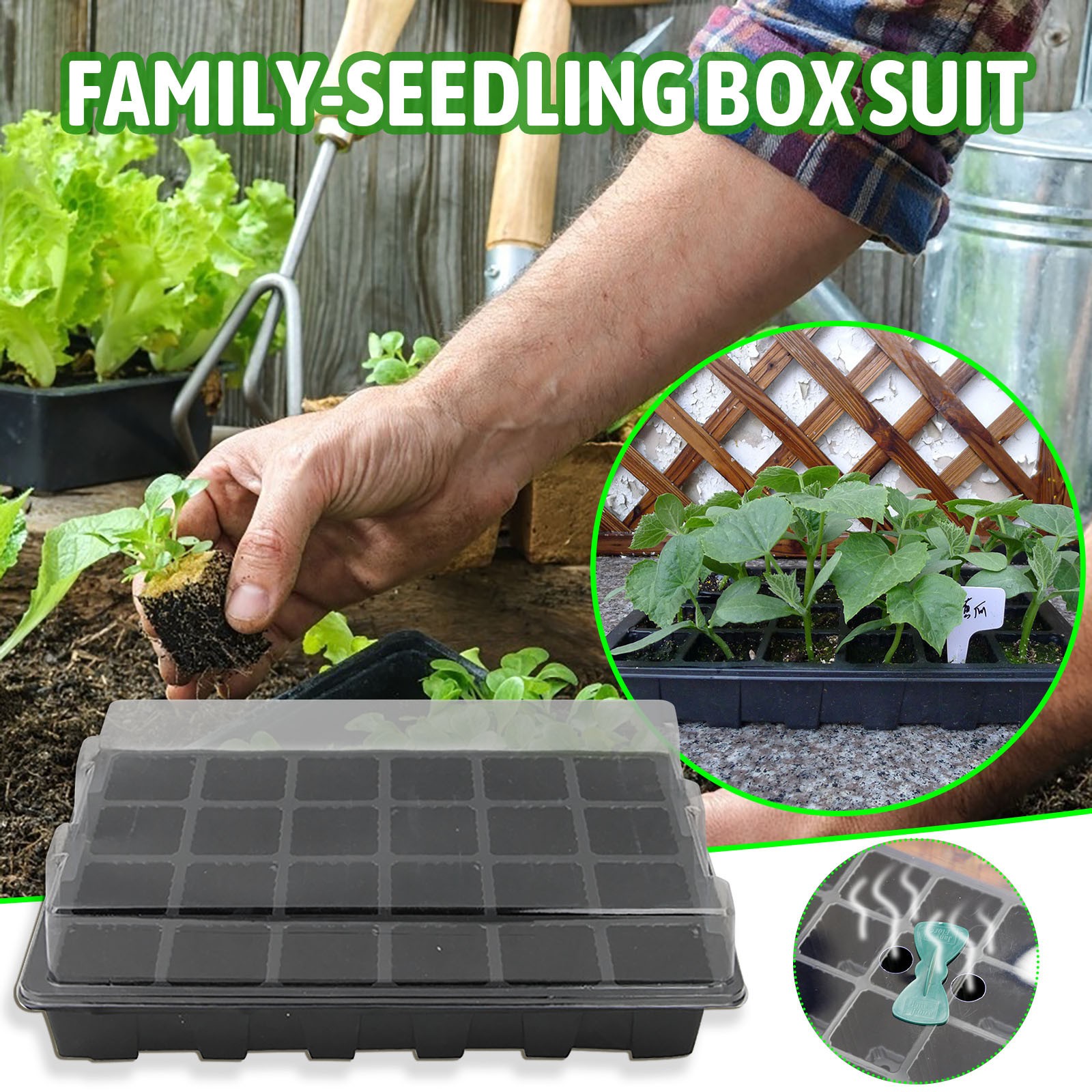 24 Hücreli Fide Tepsisi Çimlen - Seed Starter Tray incelemesi ve fiyatı