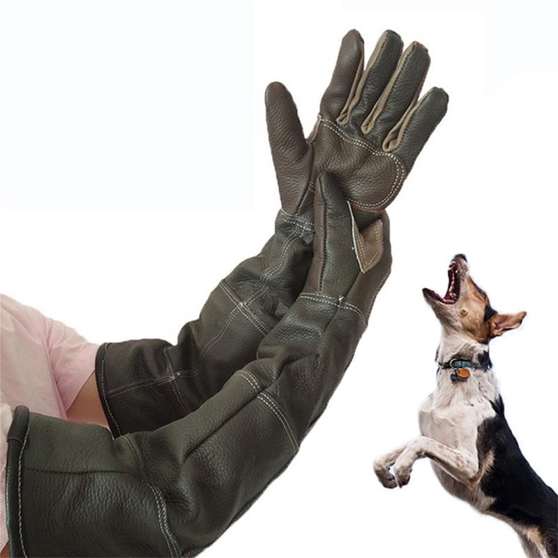 Pet eldiven inek derisi deri a - Garden Gloves incelemesi ve fiyatı