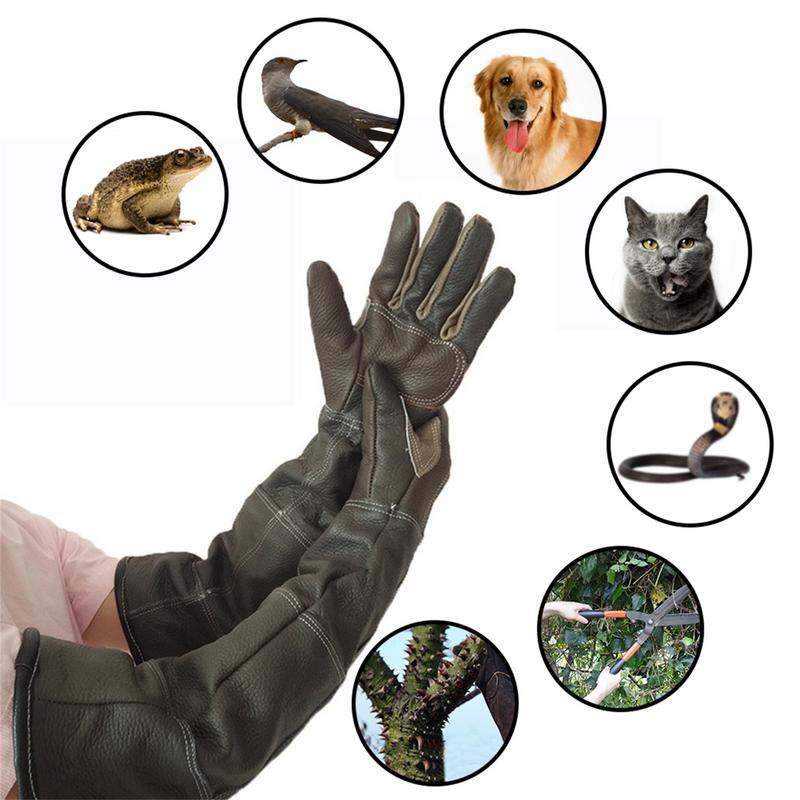 Pet eldiven inek derisi deri a - Garden Gloves incelemesi ve fiyatı