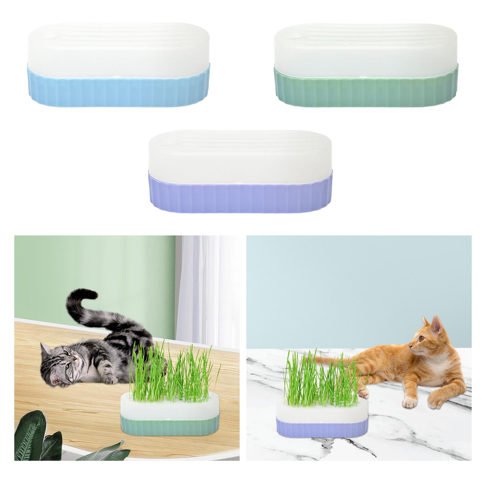 Kedi otu yetiştirme seti için  - Hydroponic Kit incelemesi ve fiyatı