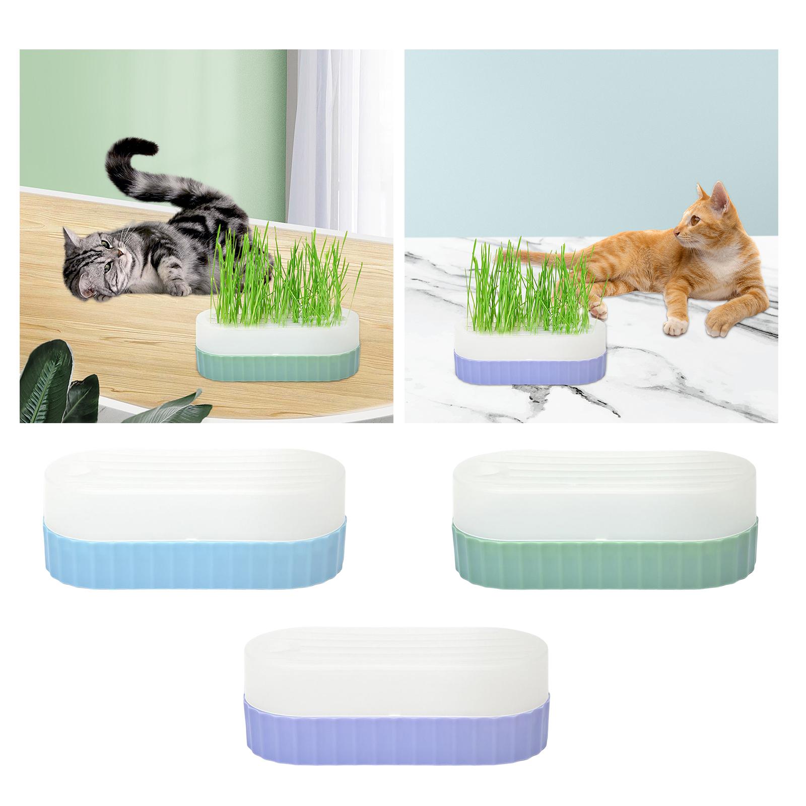 Kedi otu yetiştirme seti için  - Hydroponic Kit incelemesi ve fiyatı