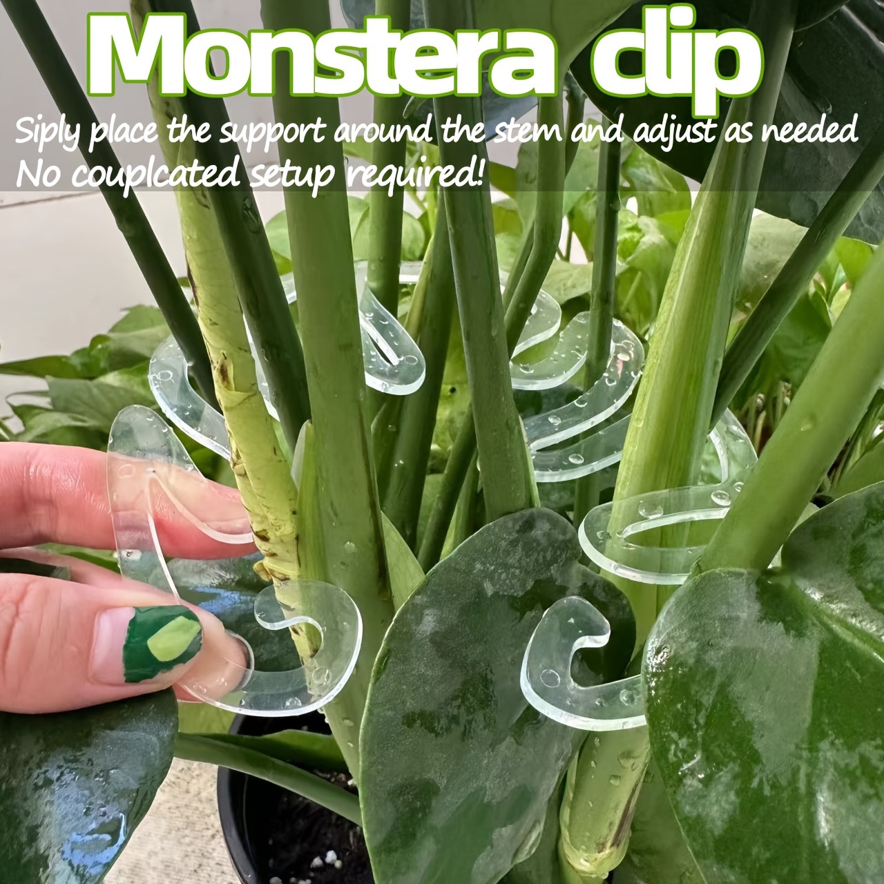 Esnek Plastik Monstera Bitki D - Vertical Planter incelemesi ve fiyatı