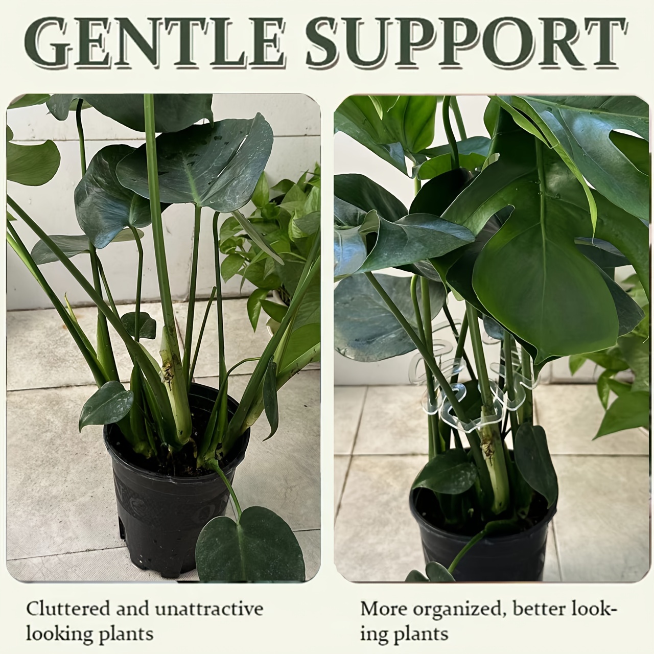 Esnek Plastik Monstera Bitki D - Vertical Planter incelemesi ve fiyatı