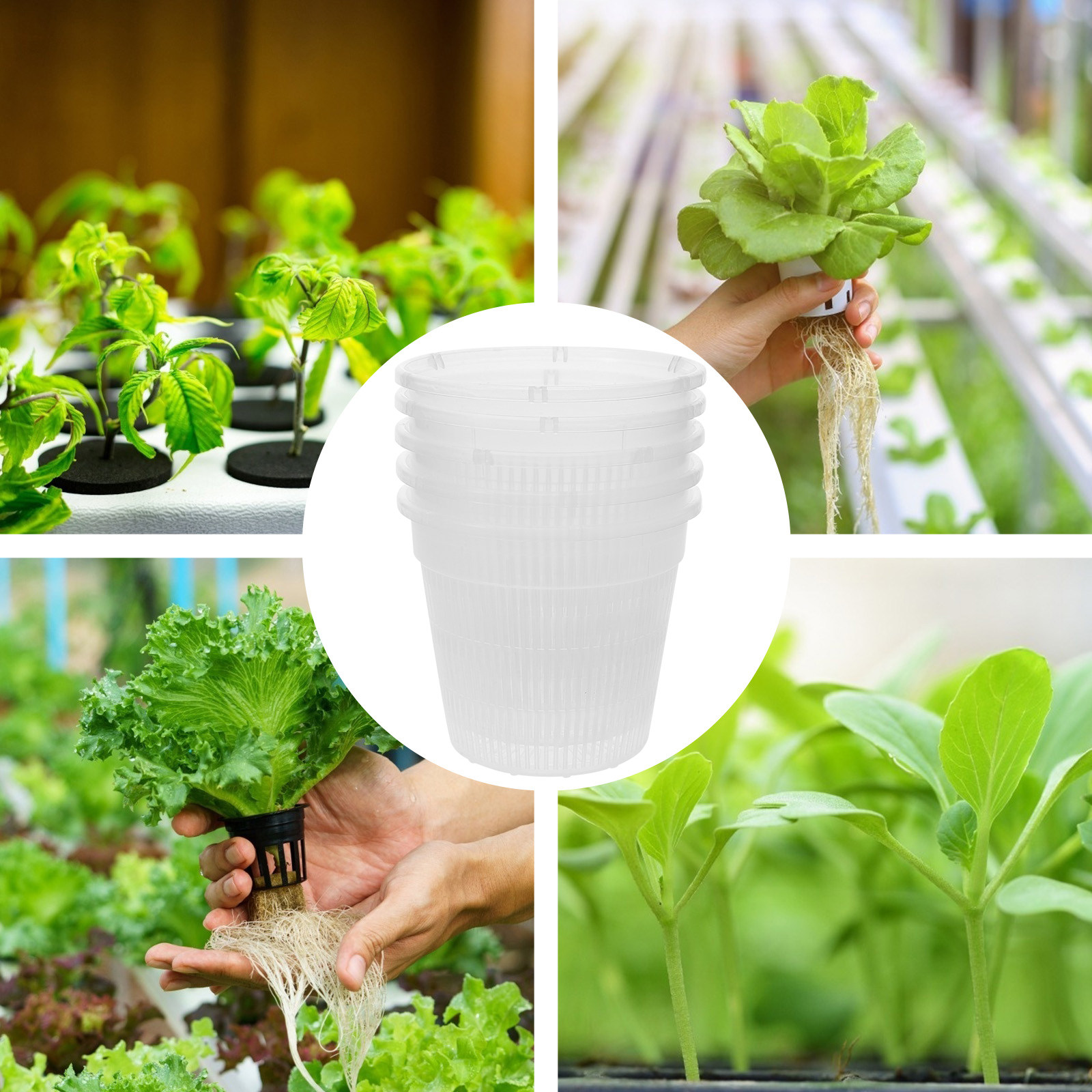 5 Adet Hidroponik Bitki Yetişt - Plant Pot incelemesi ve fiyatı