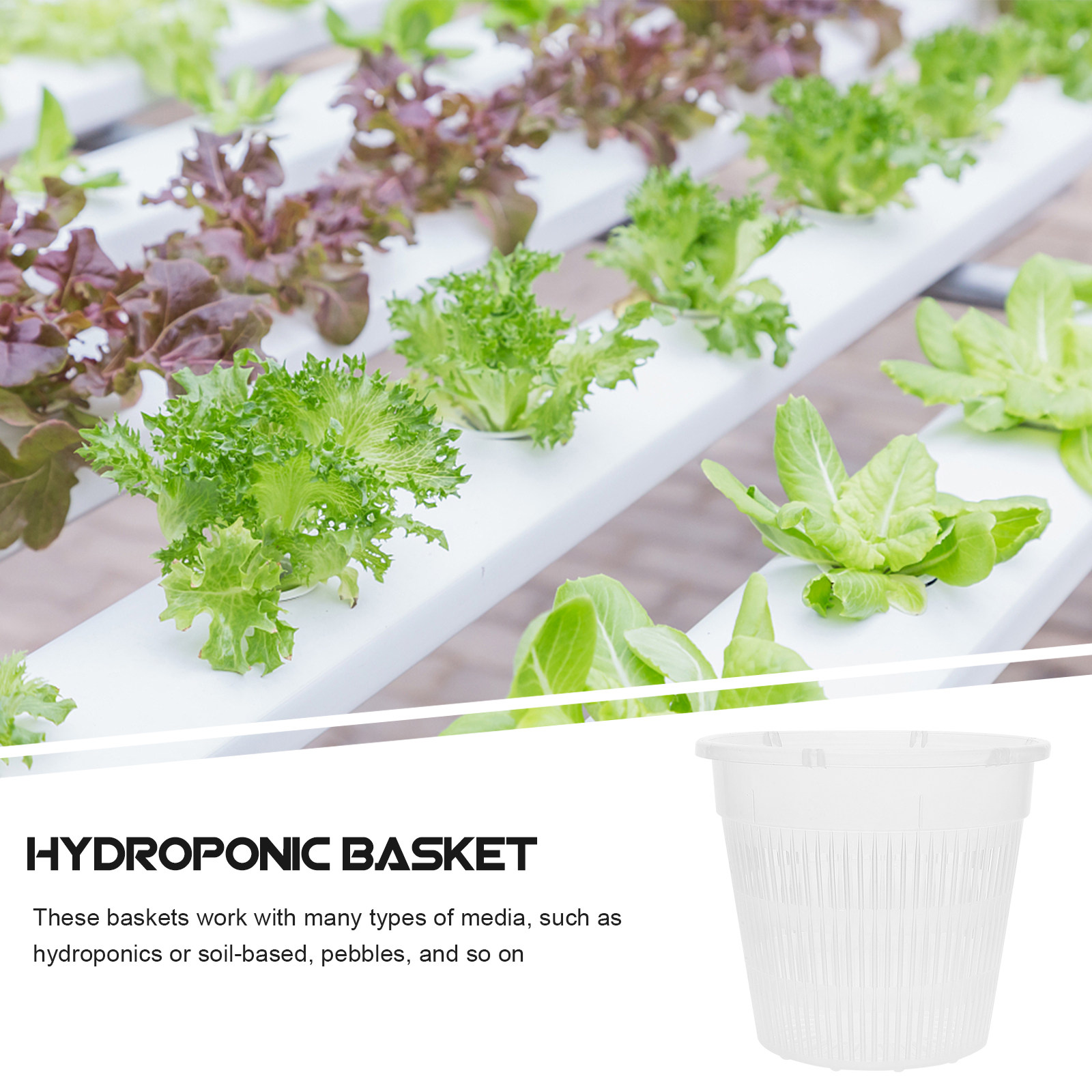 5 Adet Hidroponik Bitki Yetişt - Plant Pot incelemesi ve fiyatı