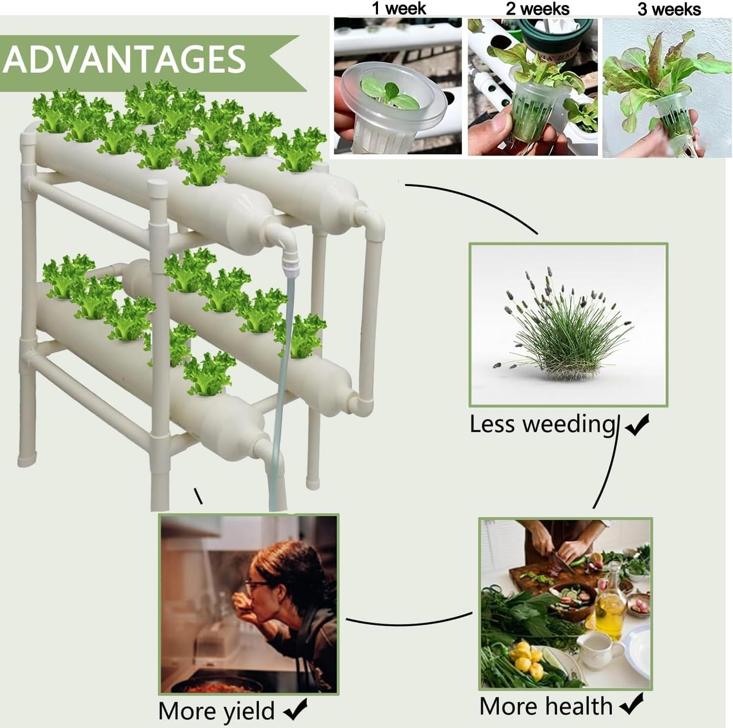 Hidroponik Yetiştirme Sistemi  - Hydroponic Kit incelemesi ve fiyatı