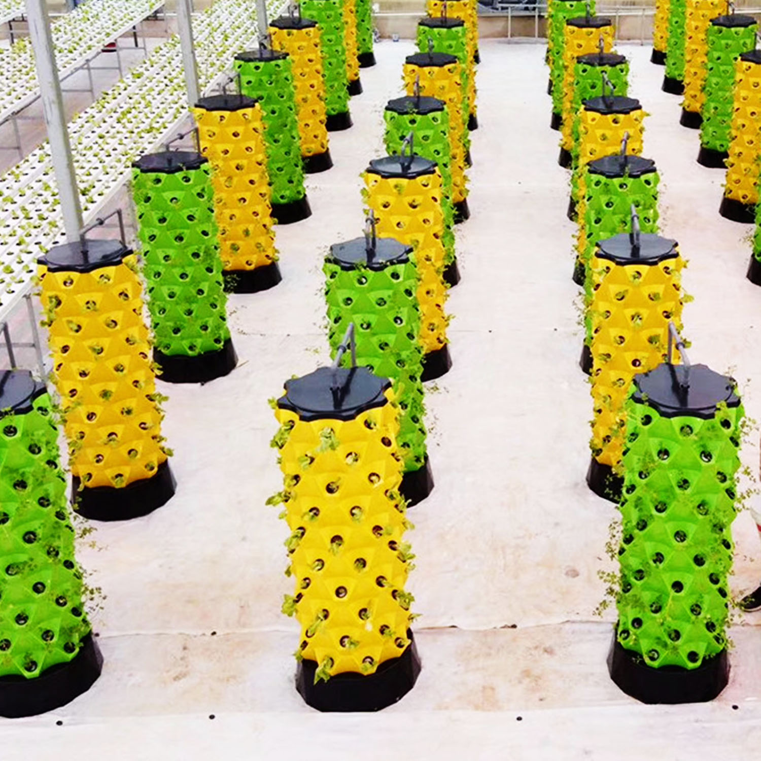 YENİ Hidroponik Dikey Bahçe, A - Hydroponic Kit incelemesi ve fiyatı