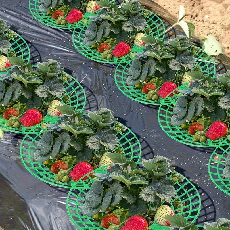 20 Parçalı, Ağır Hizmet Tipi Ç - Indoor Herb Garden incelemesi ve fiyatı