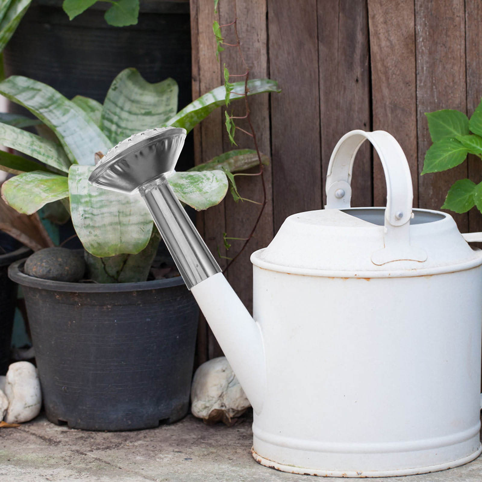 Paslanmaz Çelik Su Püskürtme B - Watering Can incelemesi ve fiyatı