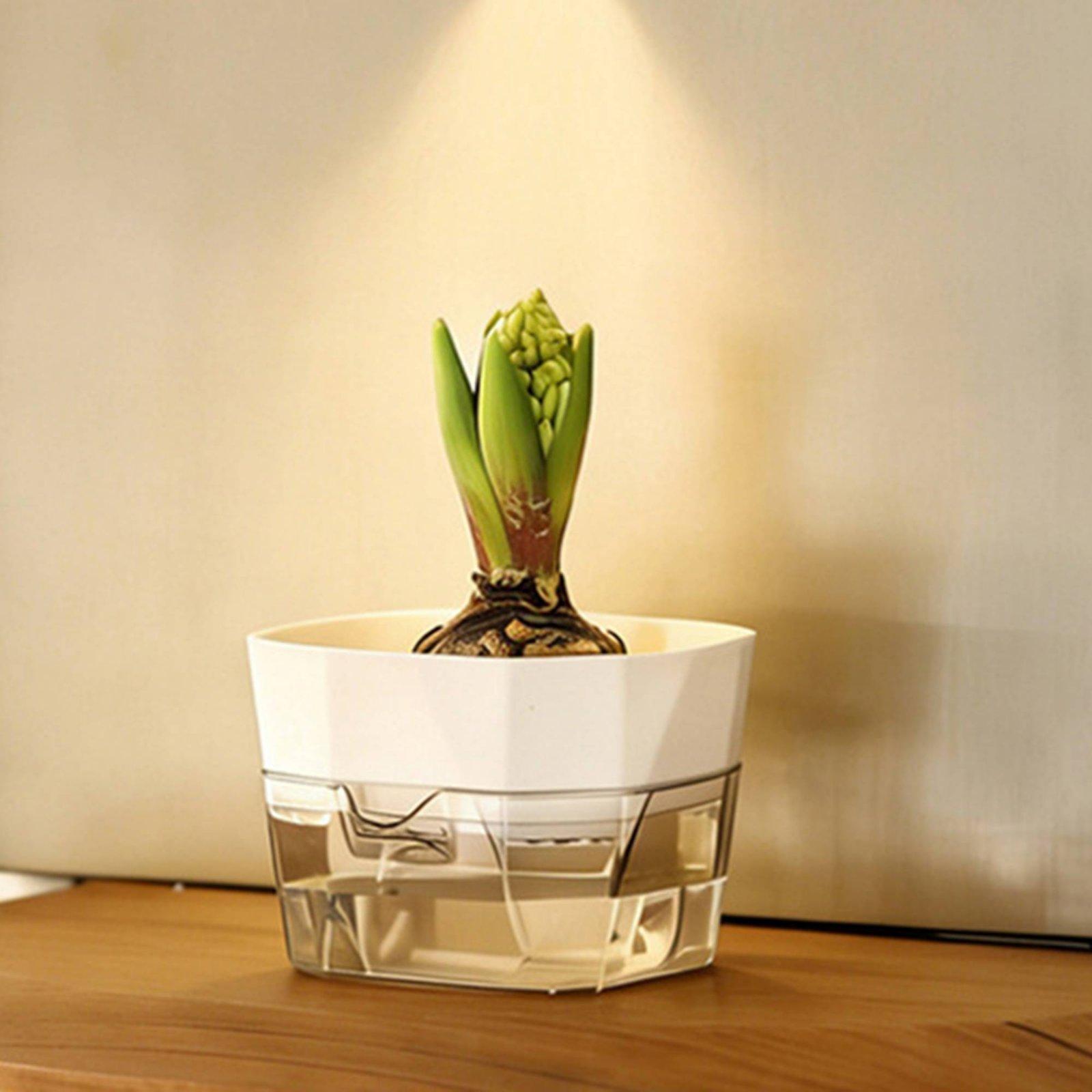 Hidroponik Vazo İki Katmanlı K - Plant Pot incelemesi ve fiyatı