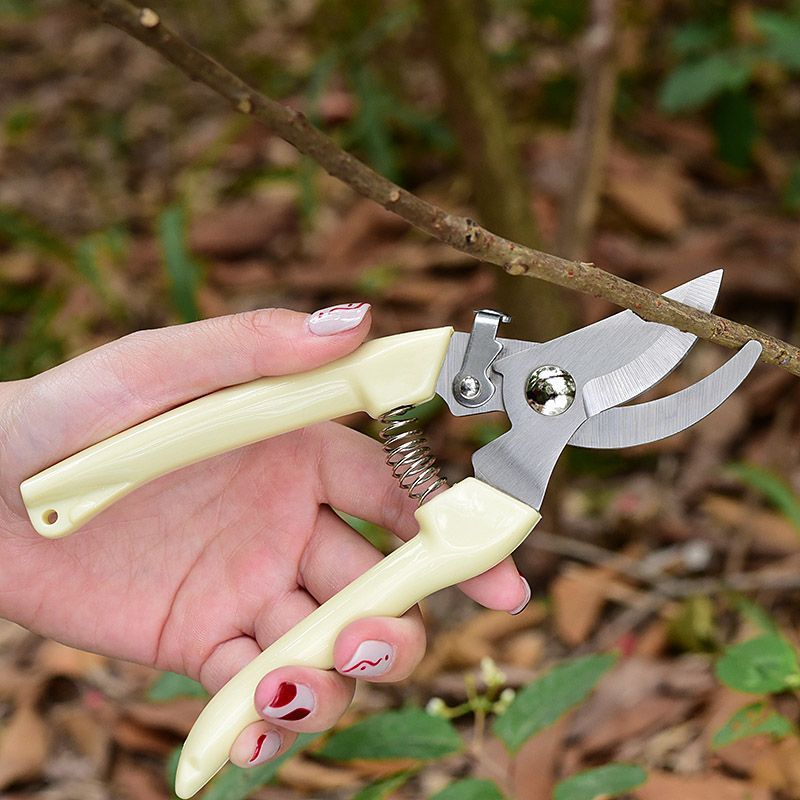 İşgücü Tasarrufu Sağlayan Bahç - Pruning Shears incelemesi ve fiyatı