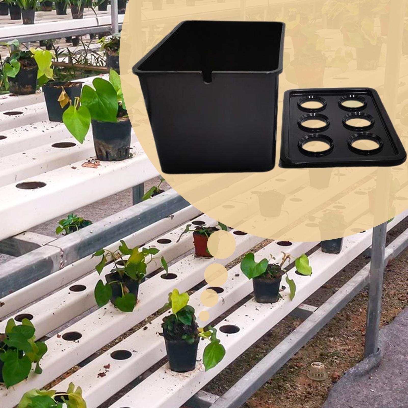 Hidroponik Yetiştirme Kiti Baş - Hydroponic Kit incelemesi ve fiyatı