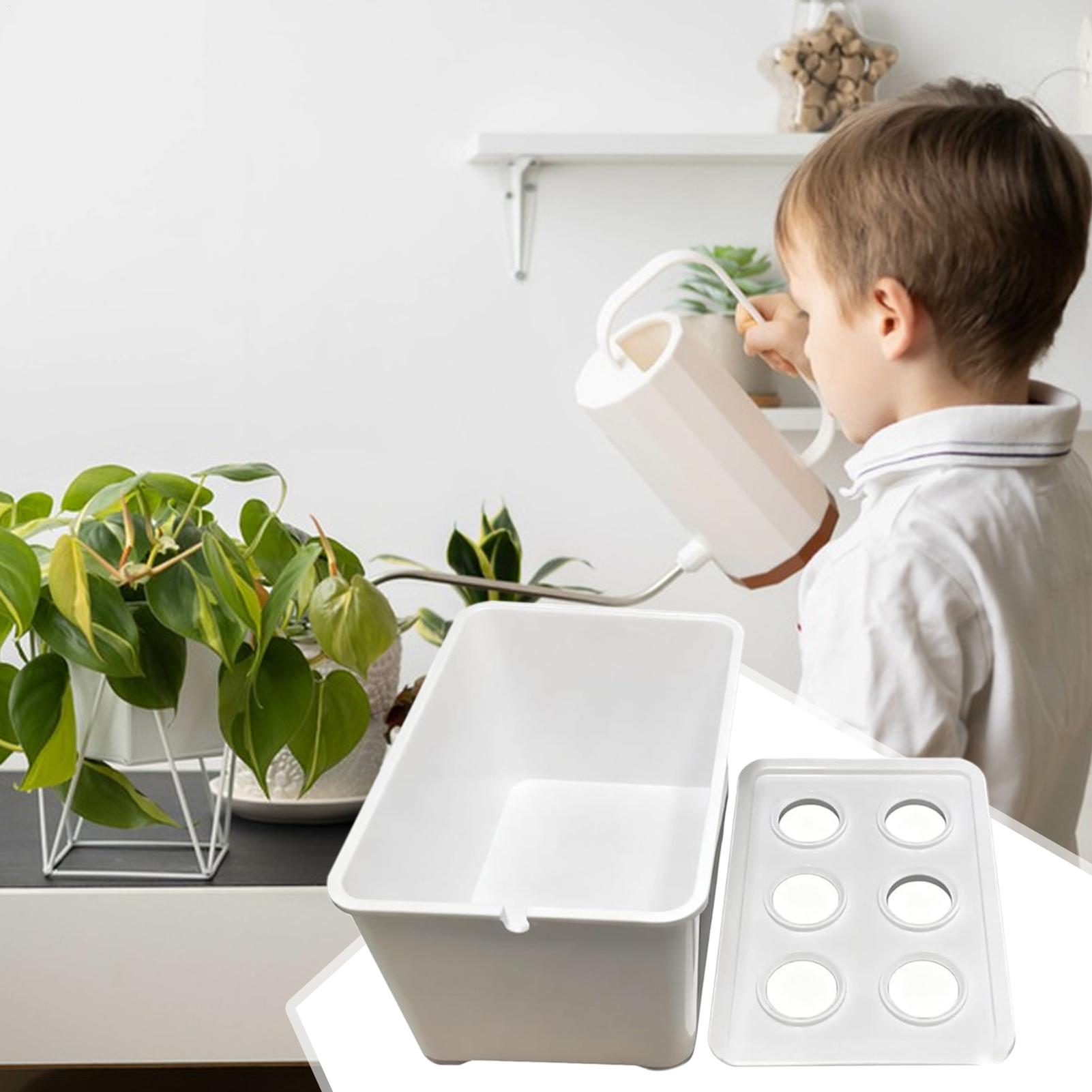 Hidroponik Yetiştirme Kiti Baş - Hydroponic Kit incelemesi ve fiyatı